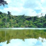 Pugu_Hill_Nature_Forest_with_Lake_Minaki