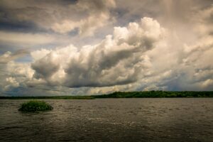 nyerere-national-park-hippos