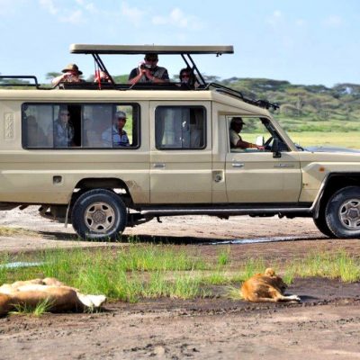 safari-land-cruiser